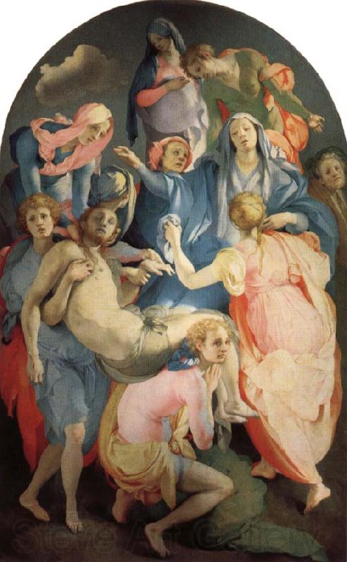 Jacopo Pontormo Deposition France oil painting art